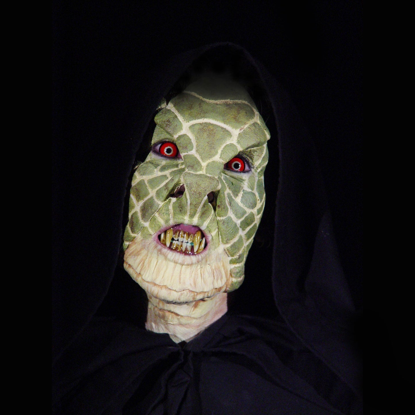 Reptile