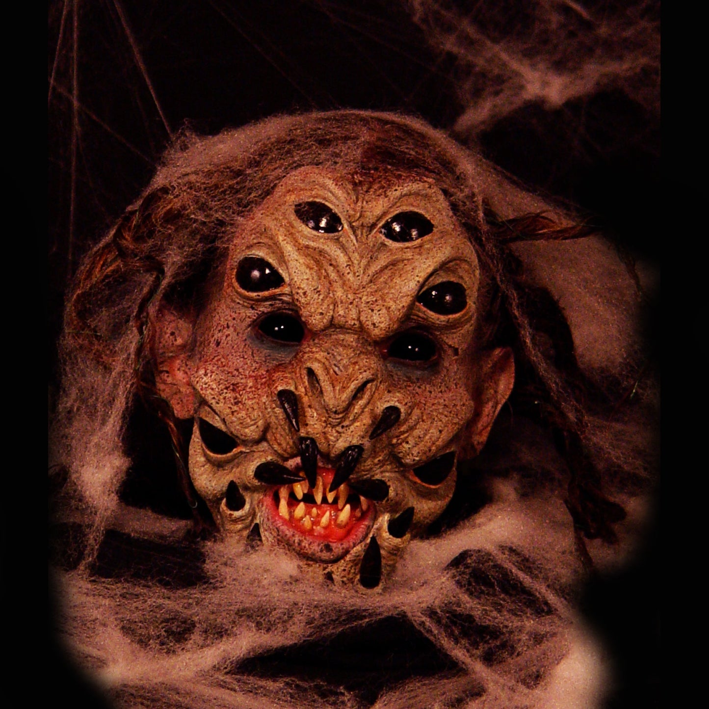 Spider