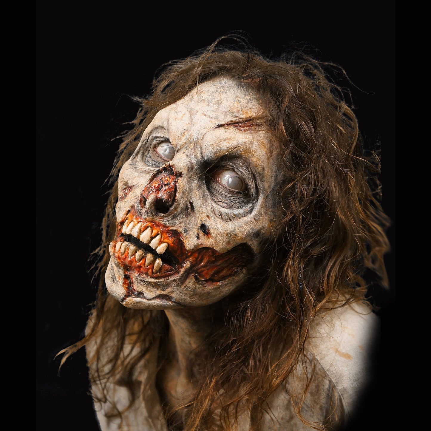 Zombie Rot
