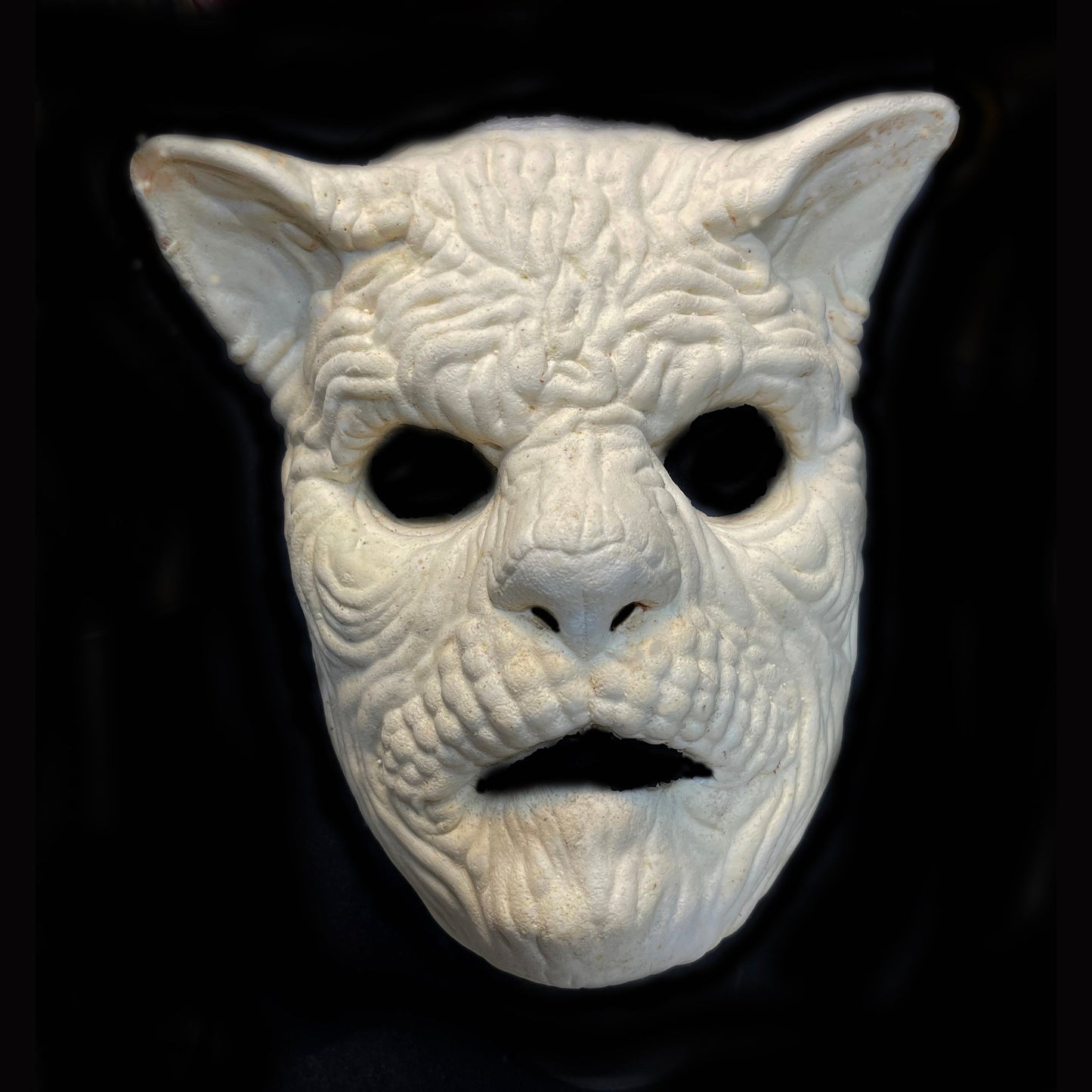 Crankenpuss