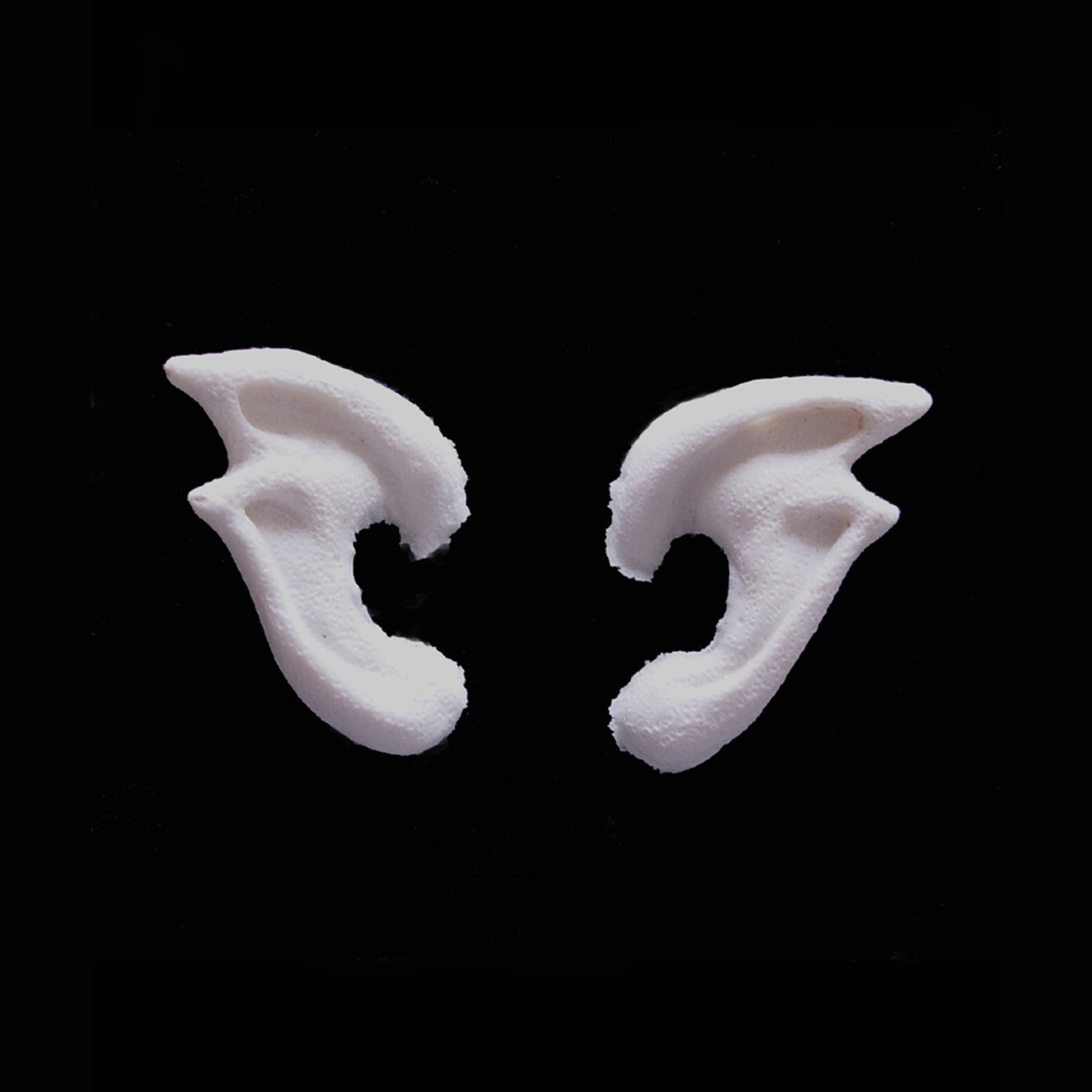 Double Tip Ears