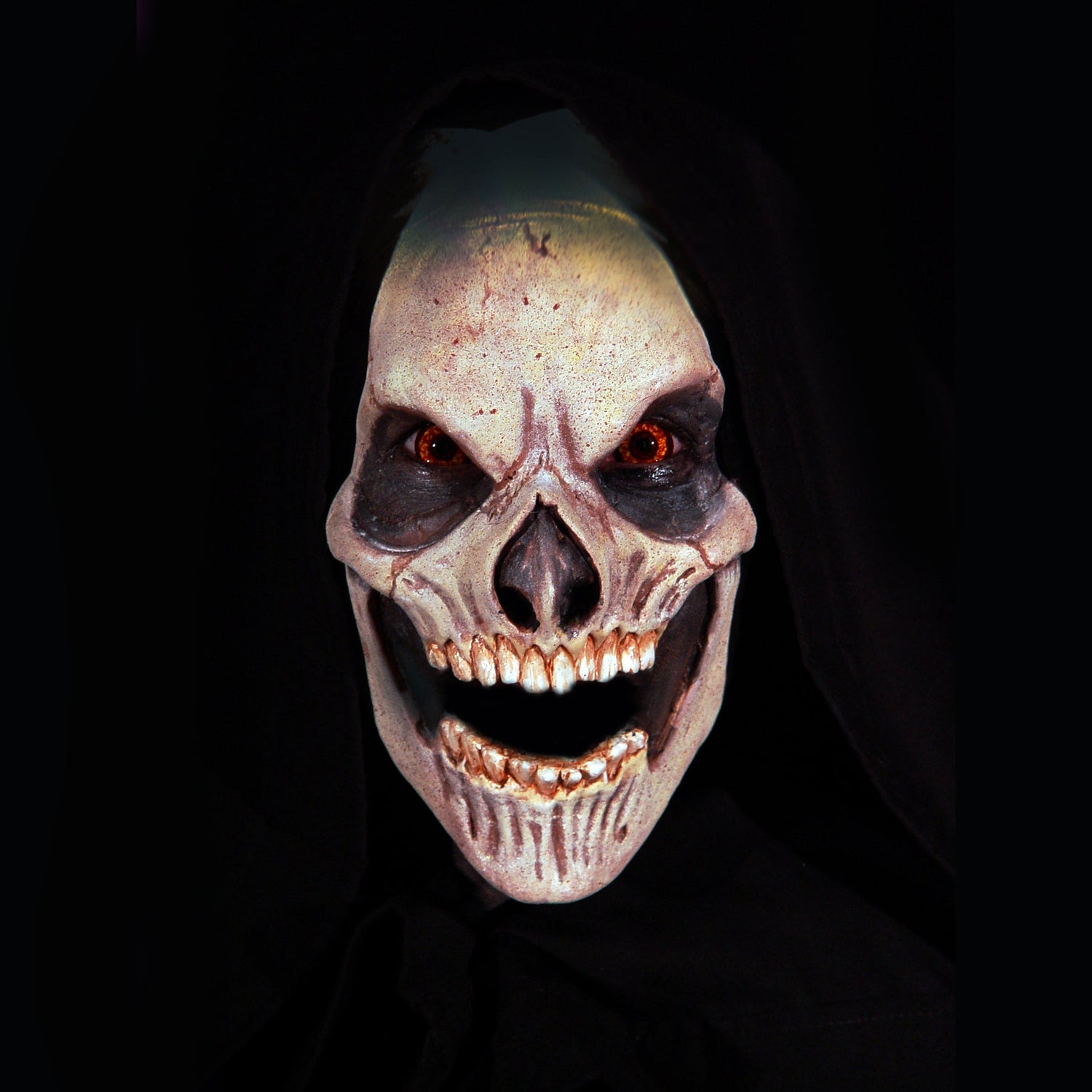 Skull