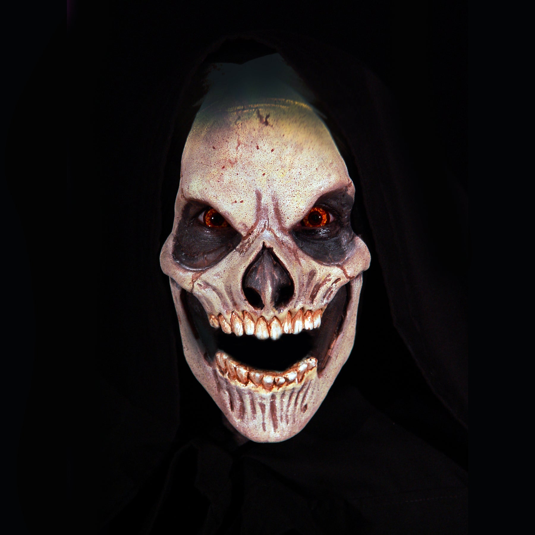 Skull