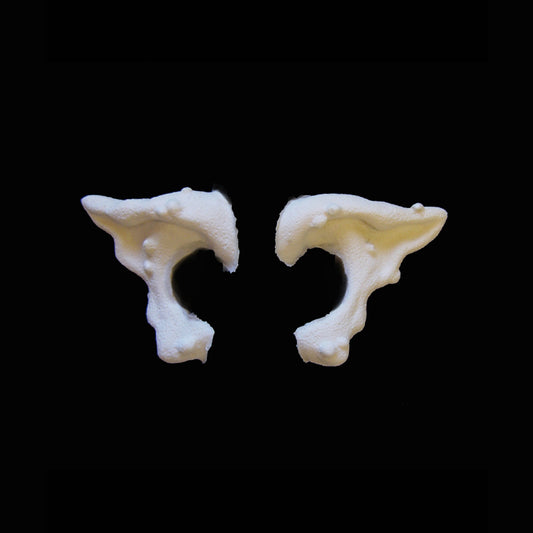 Warty Ears