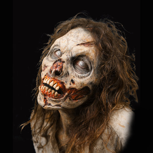 Zombie Rot