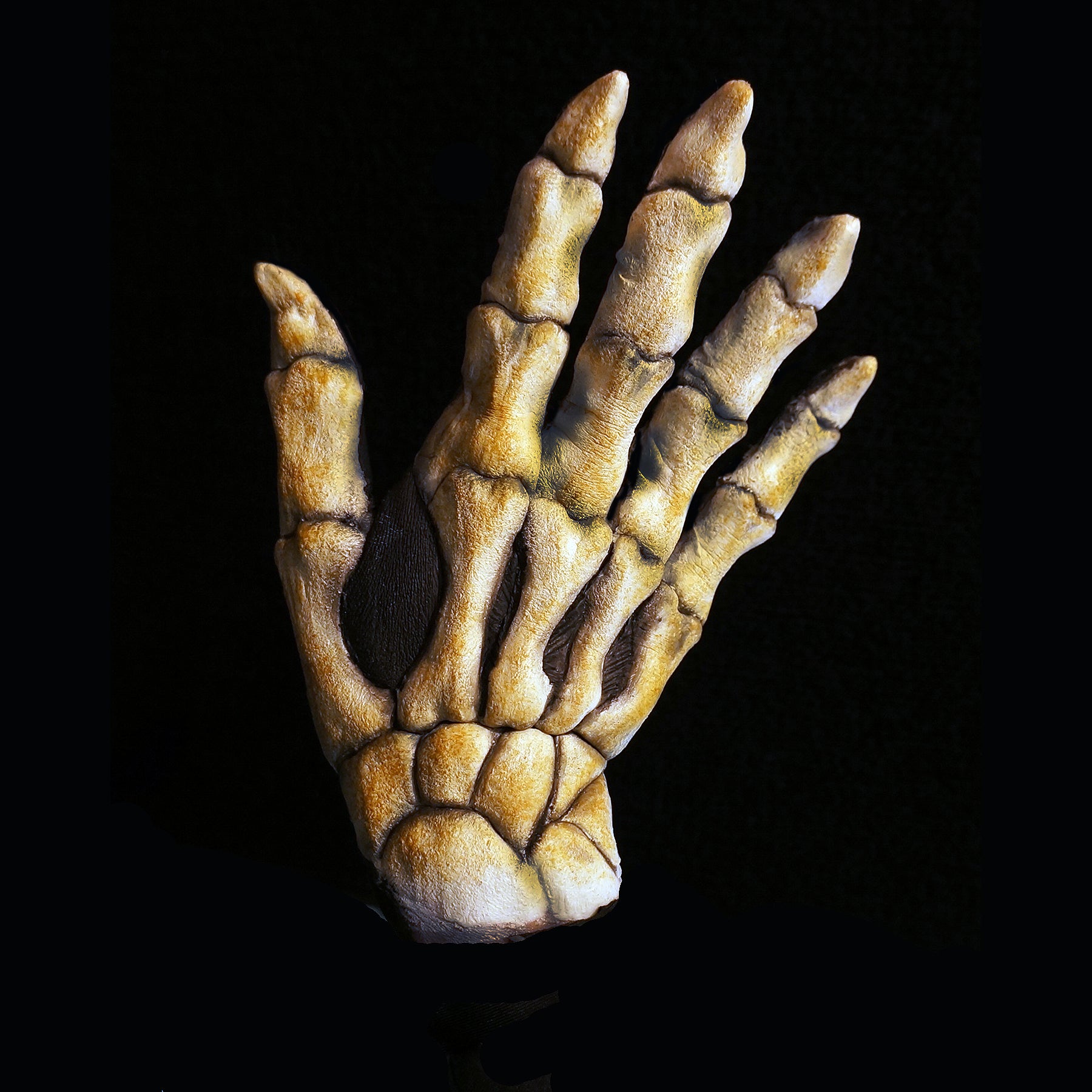 Skeleton Hands | FX FACES